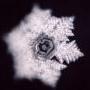 thumb_masaru-emoto-krystal-vody-10.jpg