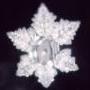 thumb_masaru-emoto-krystal-vody-11.jpg