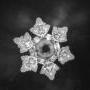 thumb_masaru-emoto-krystal-vody-3.jpg