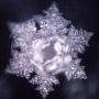 thumb_masaru-emoto-krystal-vody-6.jpg