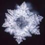 thumb_masaru-emoto-krystal-vody-8.jpg
