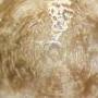 thumb_masaru-emoto-krystal-vody-heavy-metal.jpg