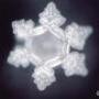 thumb_masaru-emoto-krystal-vody-heavy-metal.jpg